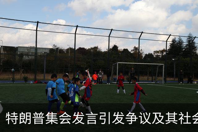 特朗普集会发言引发争议及其社会反响的分析